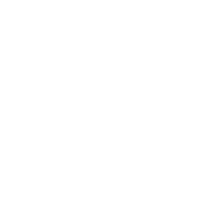 Government & Public Sector Icon