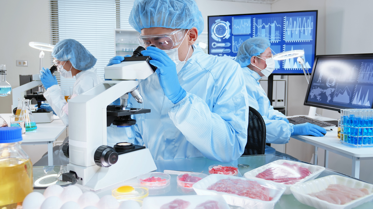 Três cientistas em um laboratório de alimentos testam a contaminação e a segurança alimentar usando microscópios e software de computador.